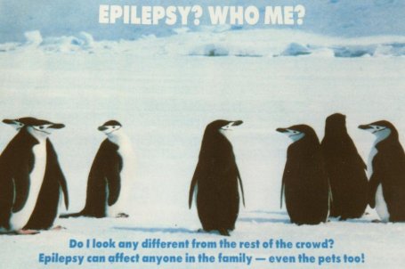 EPILEPSY? WHO ME?
Do I look any different from the rest of the crowd?
Epilepsy can affect anyone in the family - even the pets too!